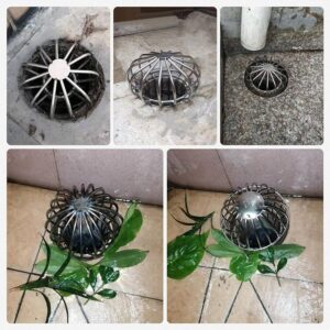 Drain Filter