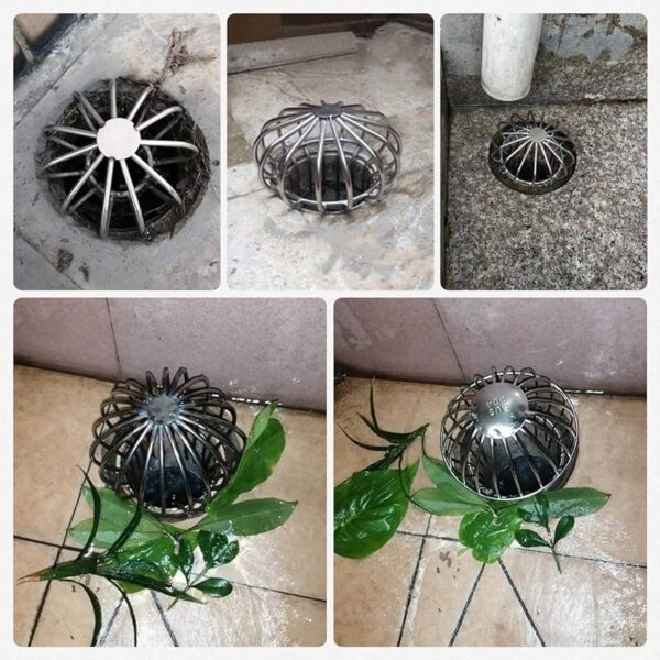 Drain Filter