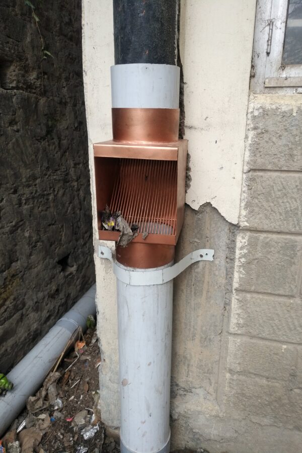 Autoclean Rainwater Pipe Leaf and Debris divertor - Image 3